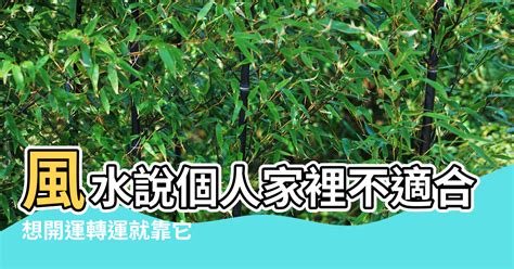 家裡植物風水|讓風水變好的植栽有哪些？想開運轉運就靠它